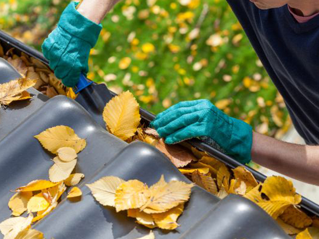 Phoenix Arizona Gutter Cleaning